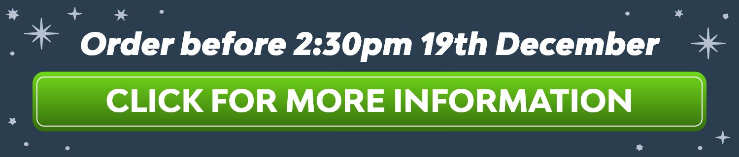 Christmas Delivery 2025